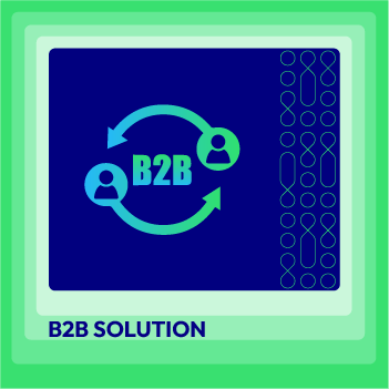 B2B Solution Professional